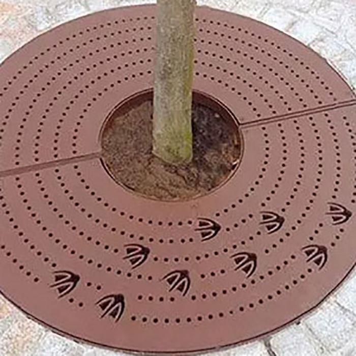 Corten   стомана   кръг   делфиниум   дърво   решетка